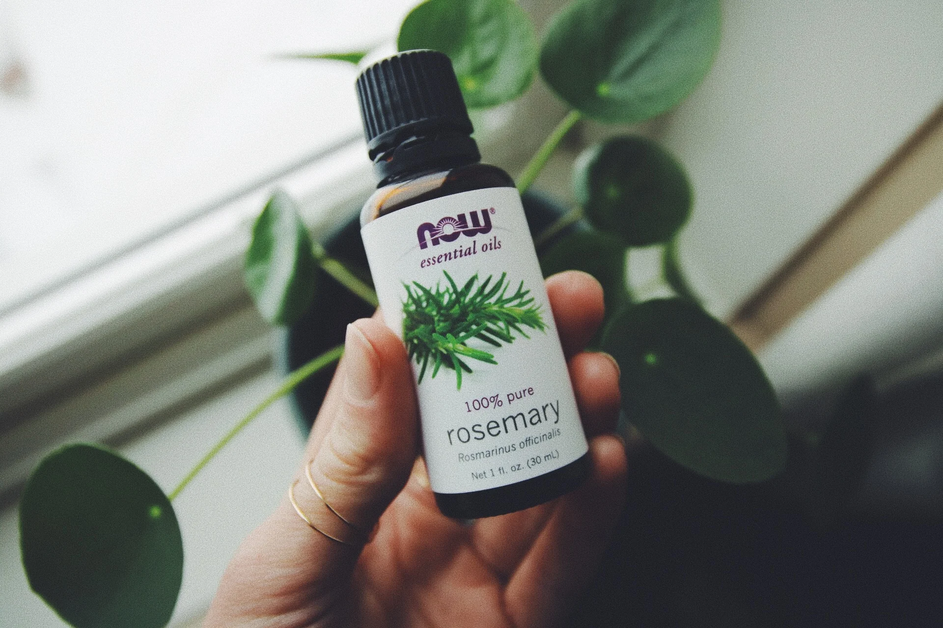 Rosemary Essential Oil