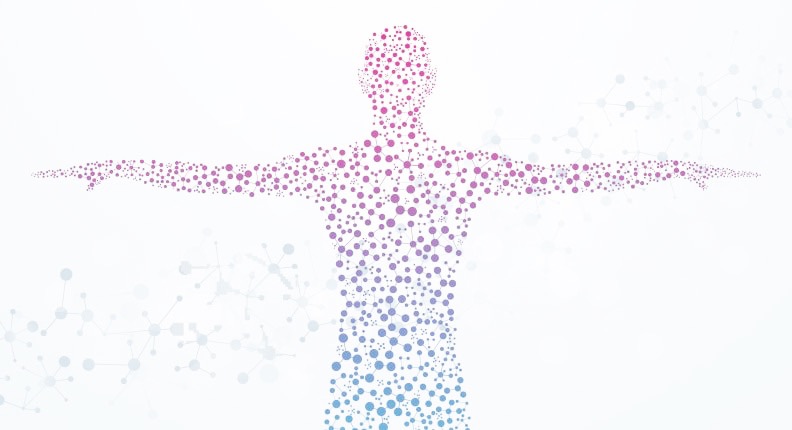 How to strengthen your microbiome 