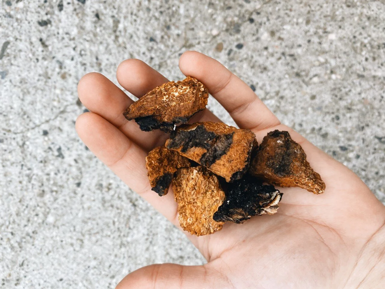 CHAGA