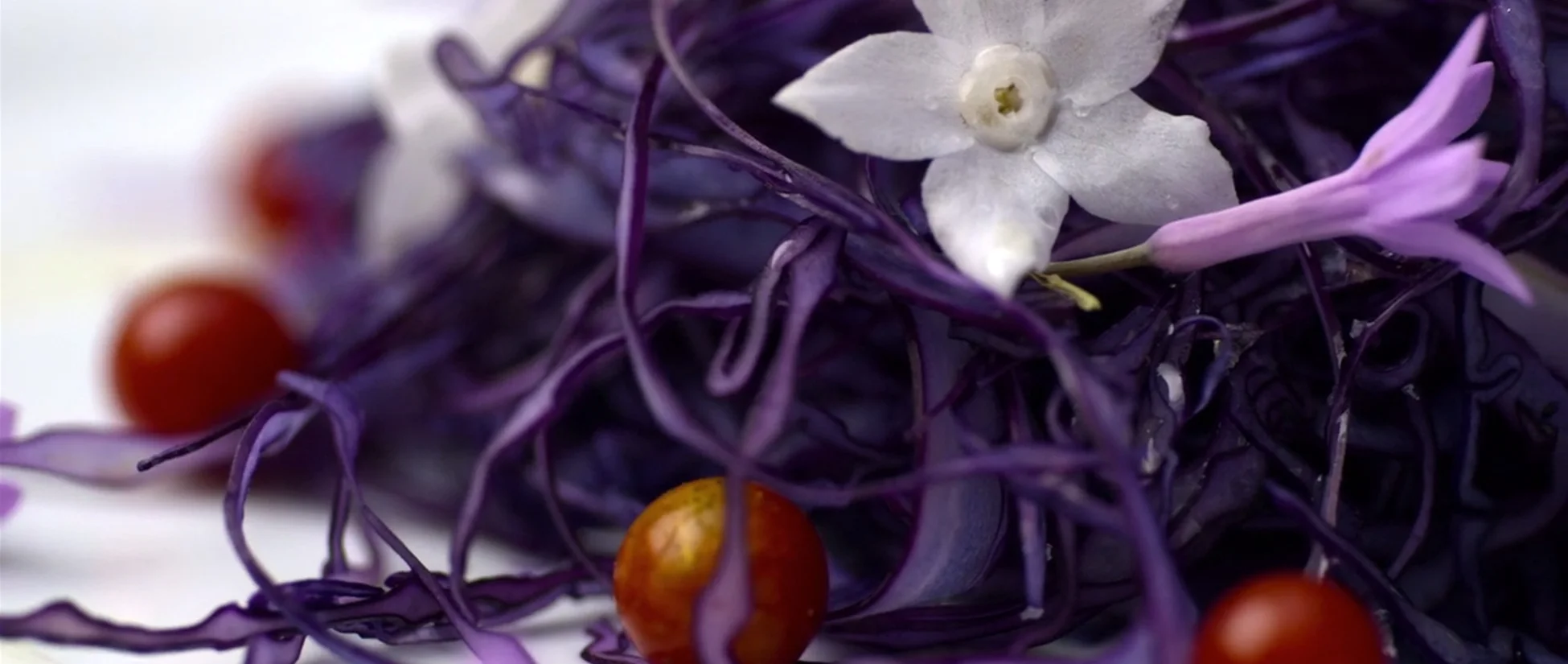 Chef's Table | France