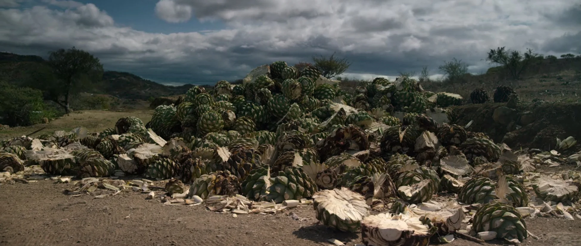 Chef's Table | Season 2