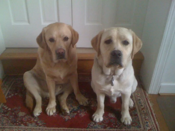 Keeper and Hudson