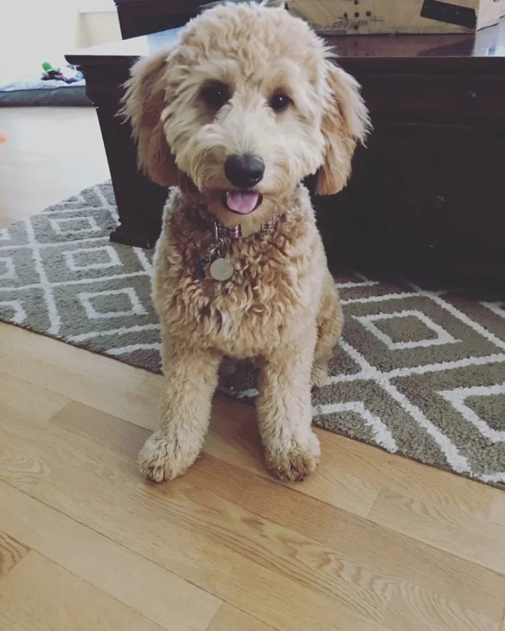 Mack
