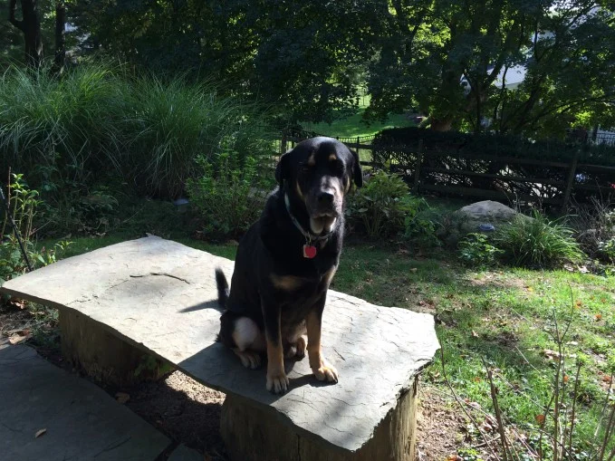 Oakley