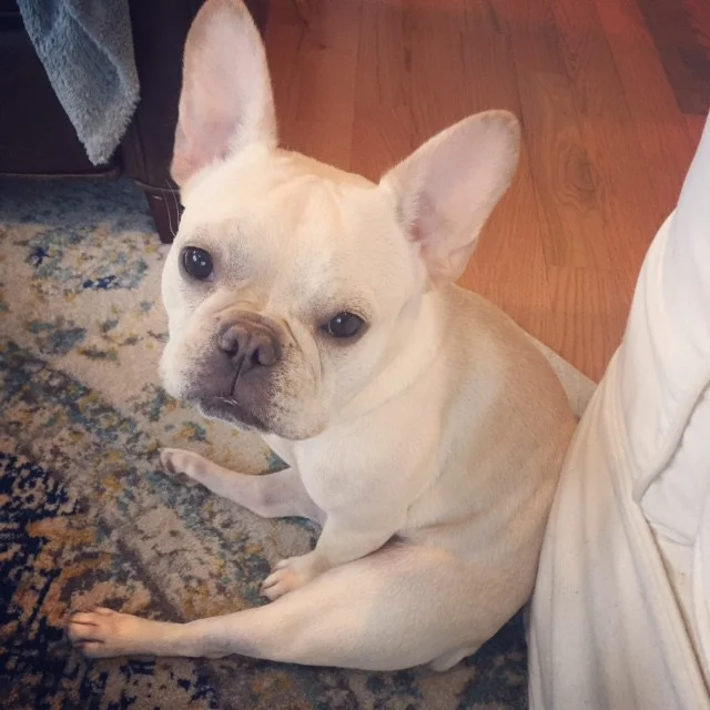 Penny