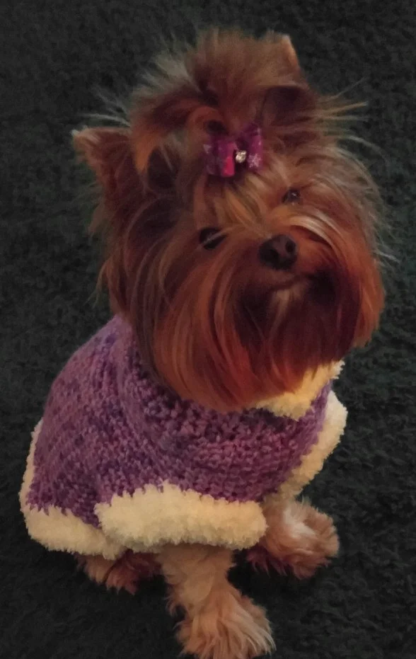 Penny