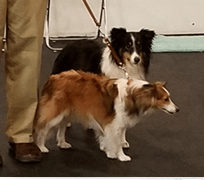 Quincy and Percy