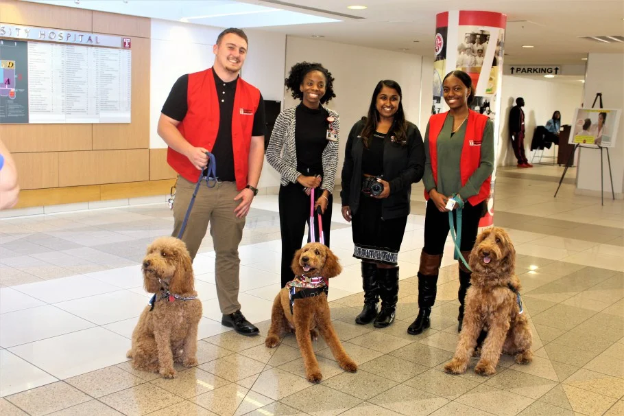 Comfort Caring Canines Therapy Dogs Visiting Temple University Hospital