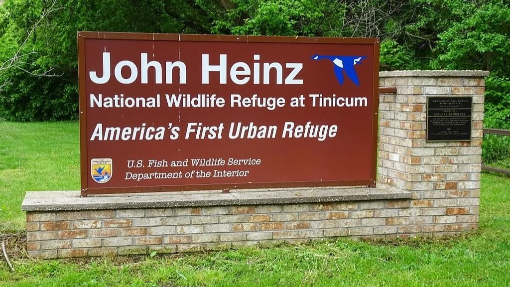 Therapy Dog Evaluation - Philly John Heinz at Tinicum