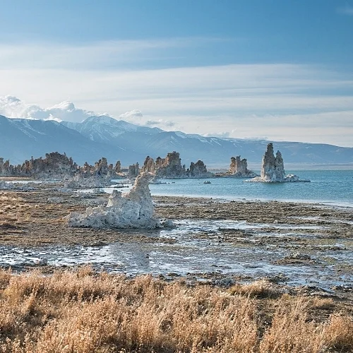 THE MONO LAKE CASE A landmark use of the Public Trust Doctrine brought national attention to water issues in California. →