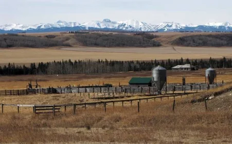 RanchingInAlberta.jpg