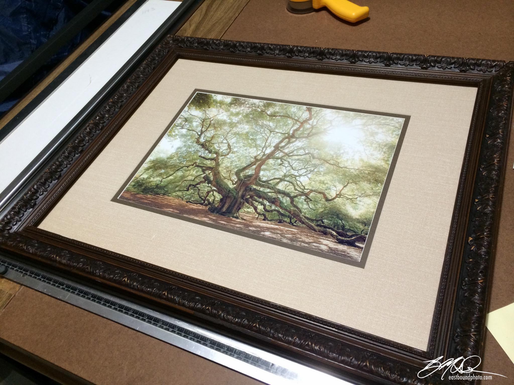 NOLA French District- picked frame with Angel Oak .jpg