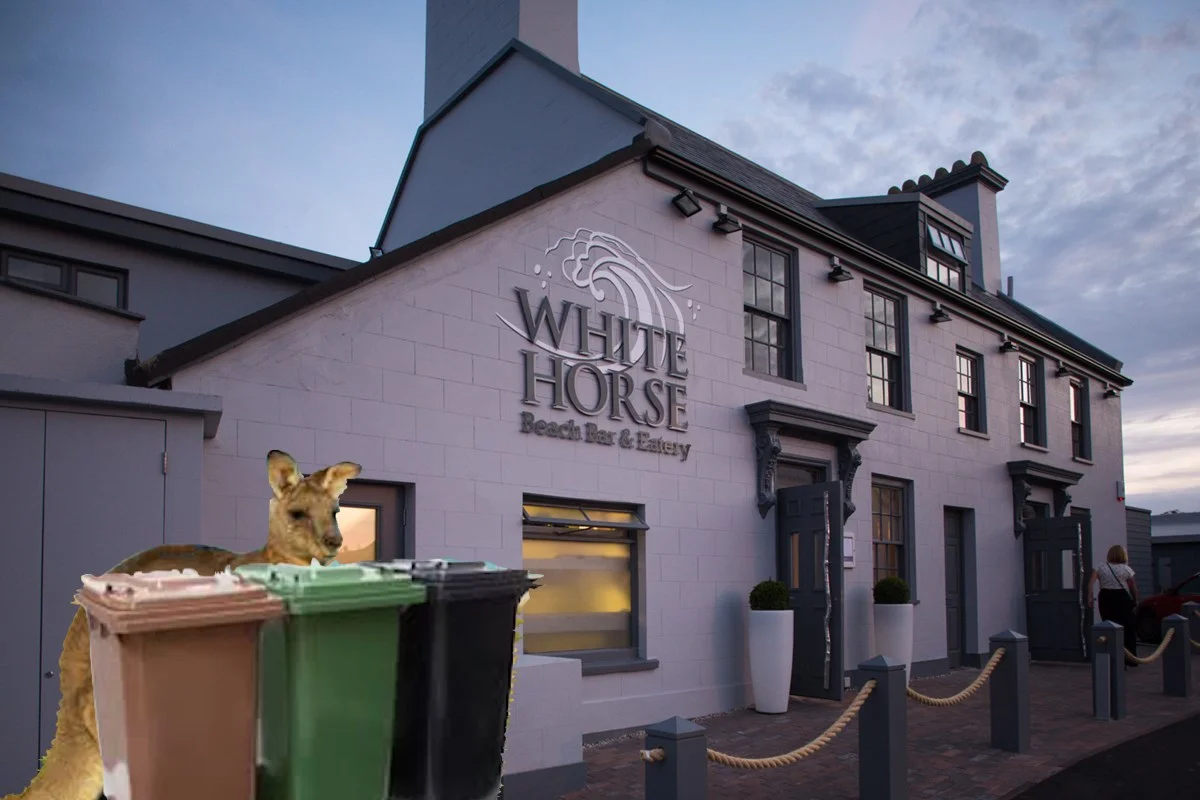Ludwig, photographed hiding behind wheelie bins at the White Horse