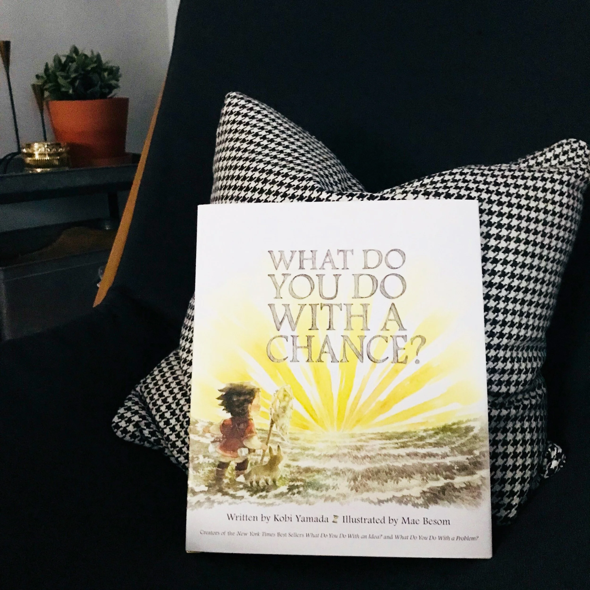 What Do You Do With A Chance?