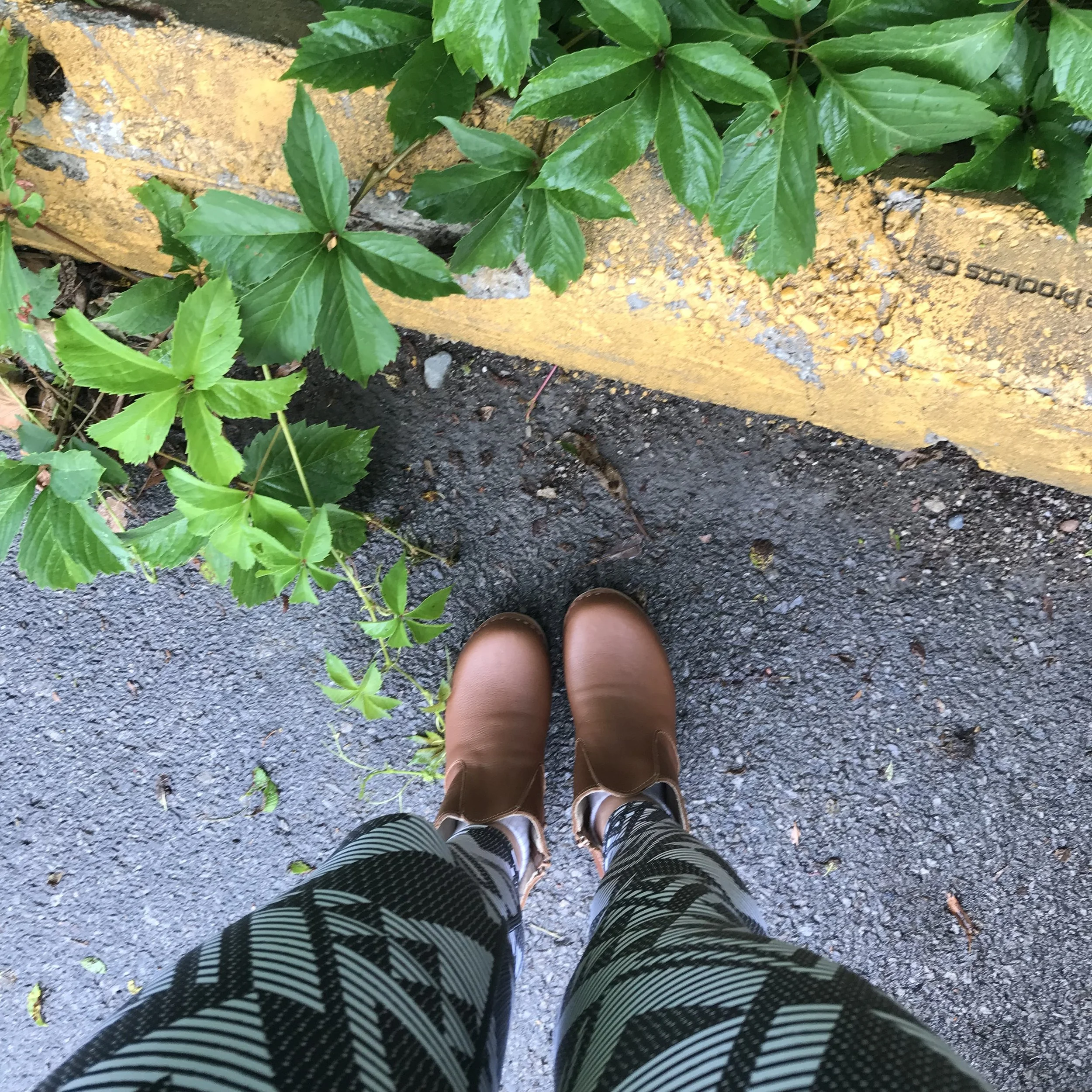 Walk into Abundance