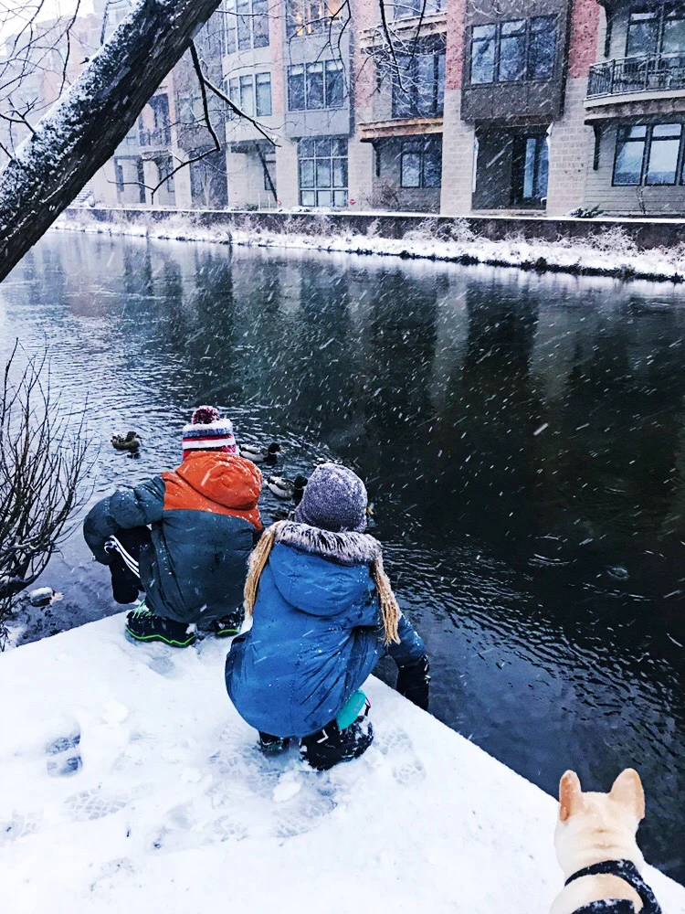 New Year, ReNEWed life