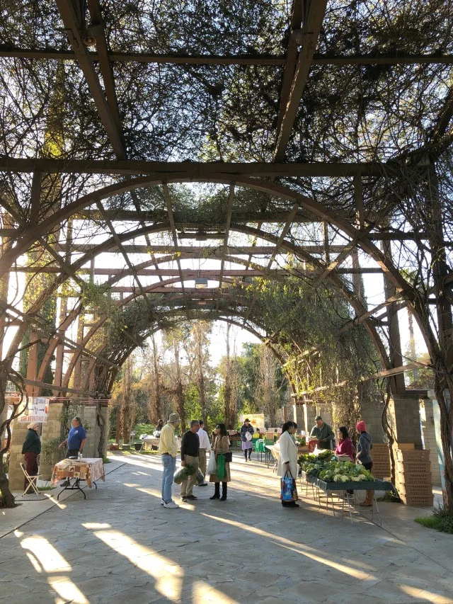 Vineyard Farmers’ Market