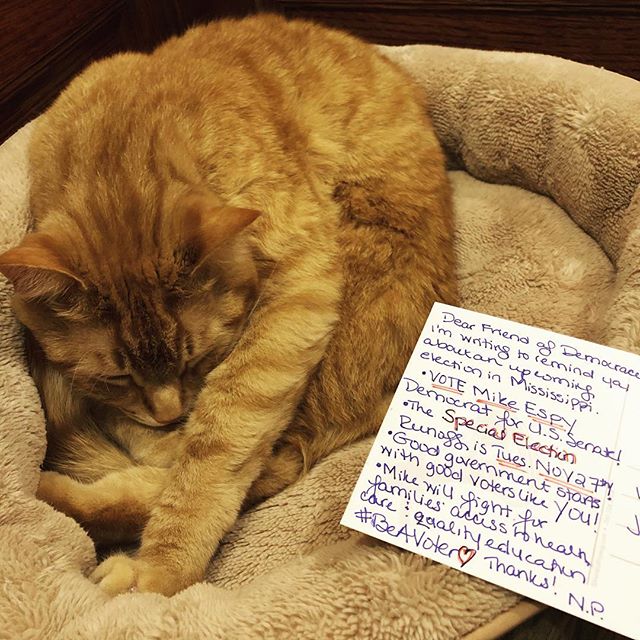 Deputy Mascot Kenji is a big help with @postcardstovoters for @espyforsenate 😂