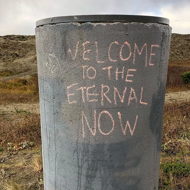 Democracy needs us now.