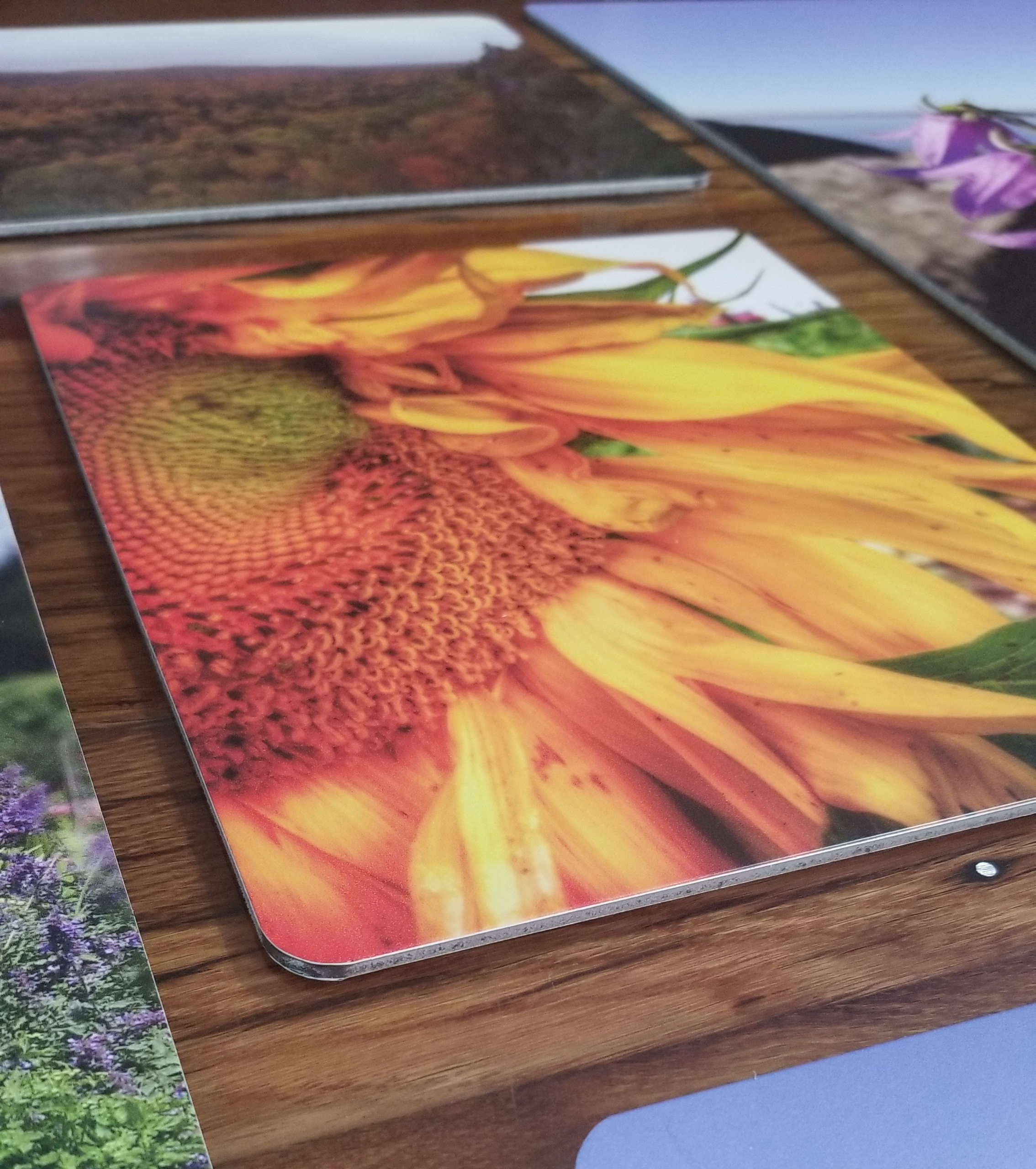 MAX-Metal Prints