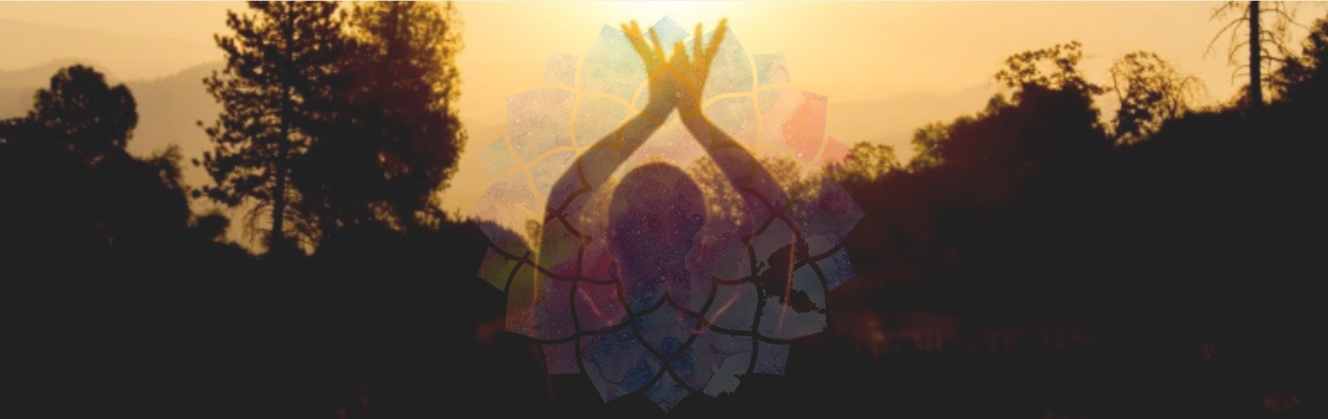 Financial Freedom header.png