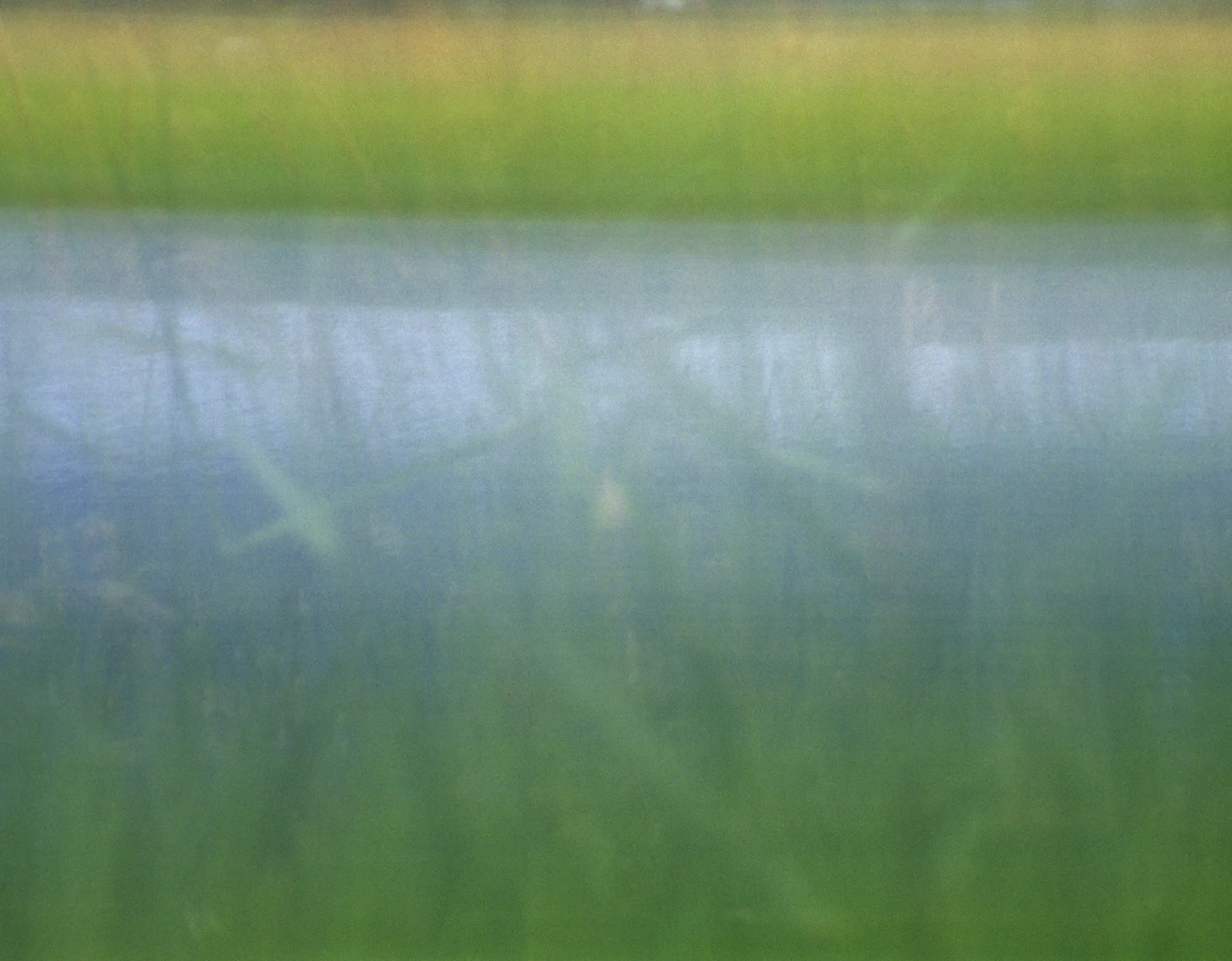 Lakeside