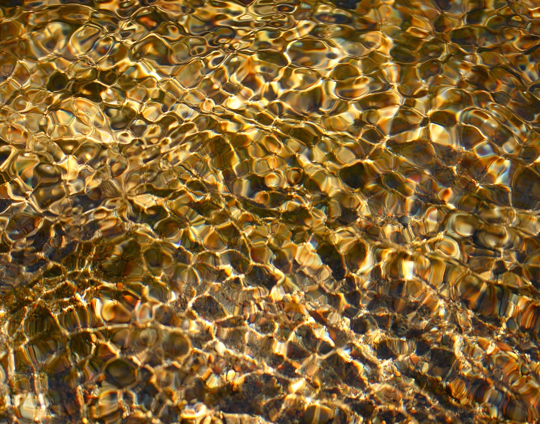 Creek View