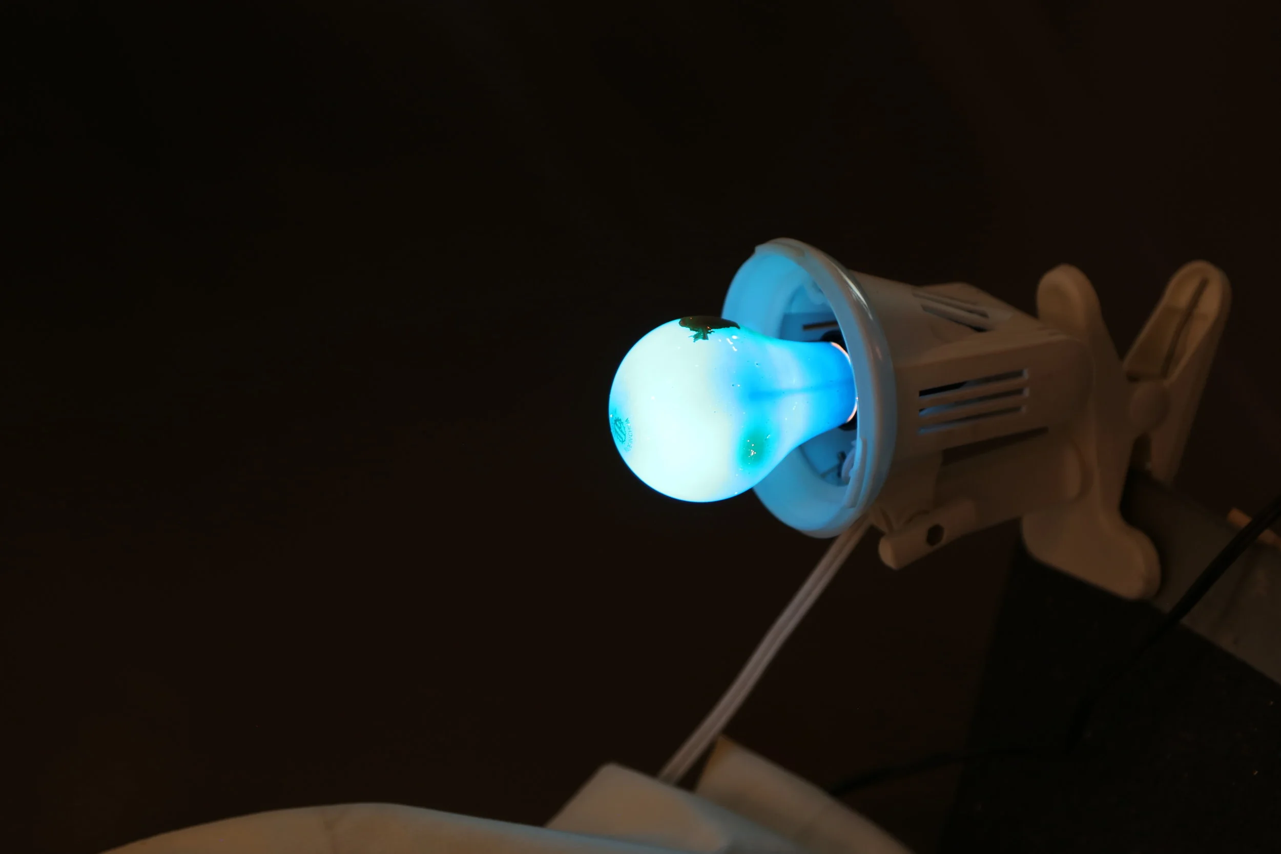 An air purifier with a glowing blue light on the front. A small green insect, possibly a fly, is on top of the blue light. The device is plugged into an outlet, and the background is dark.
