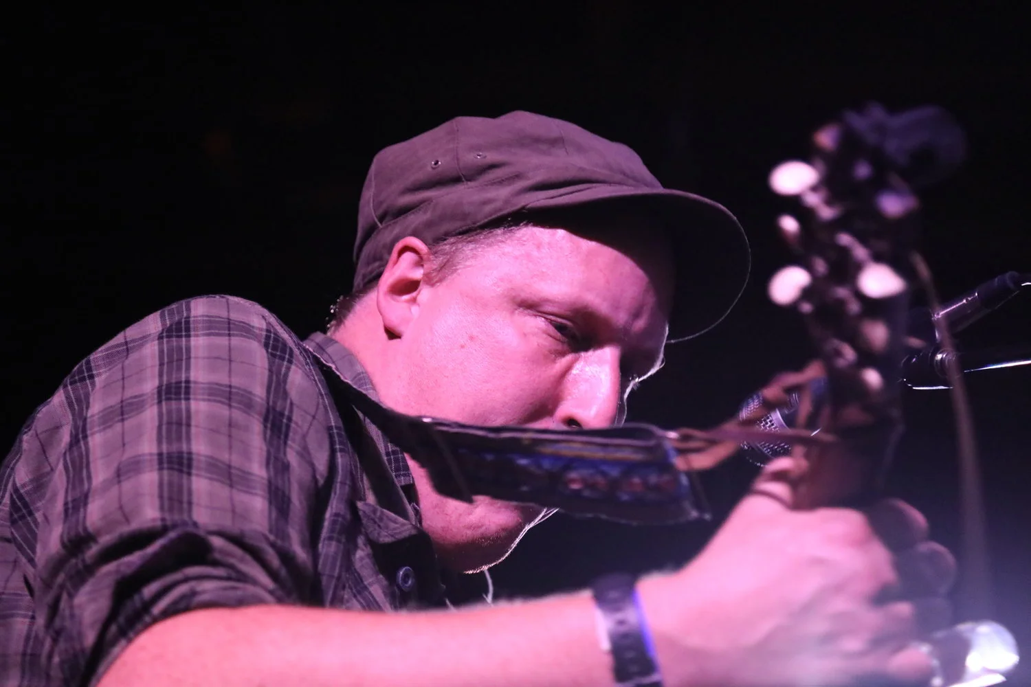 Mike Gunther / Musician