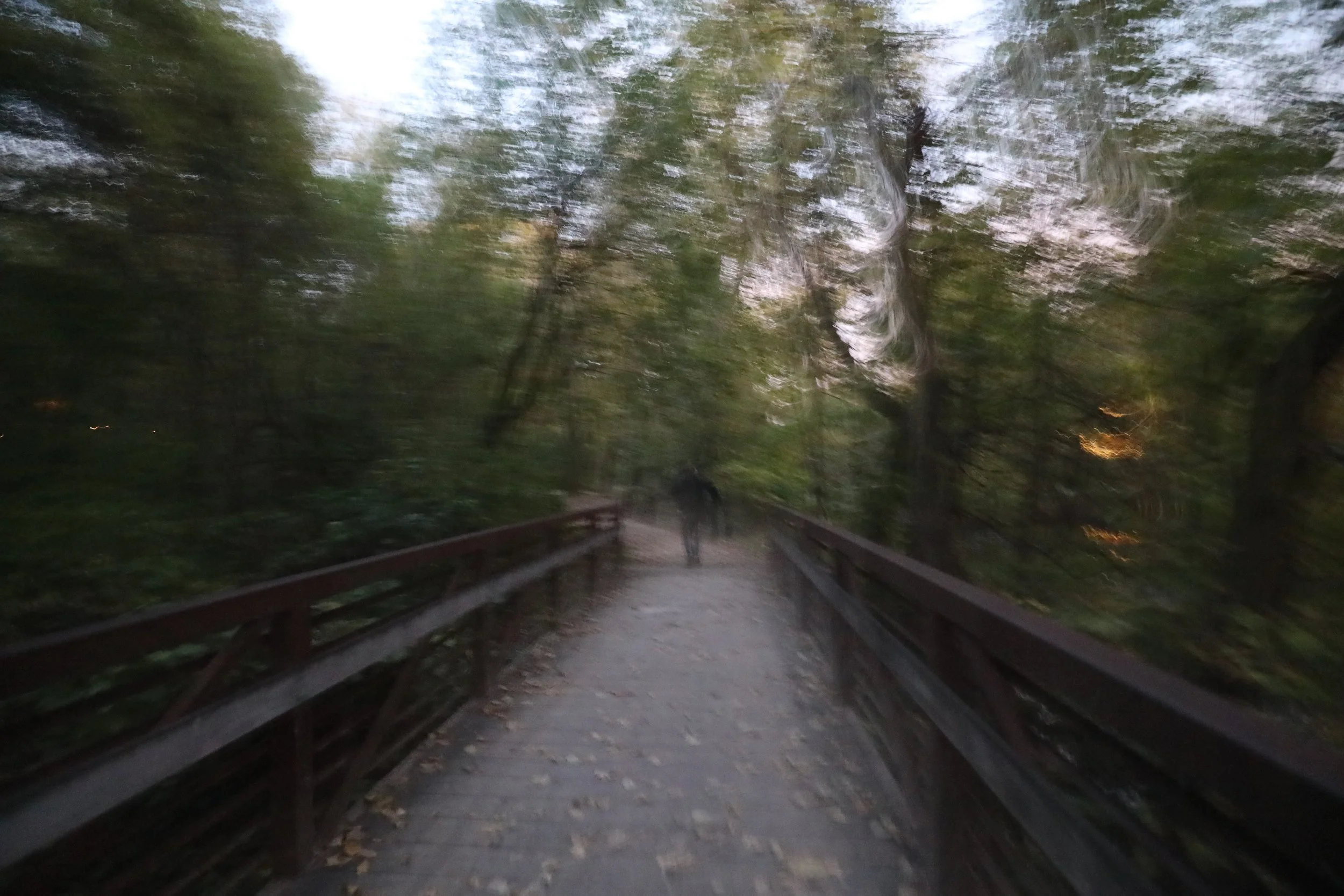 Motion-blurred image of a wooded path with trees on both sides, a wooden railing along the path, and and a person walking in the distance, taken during dusk or dawn.