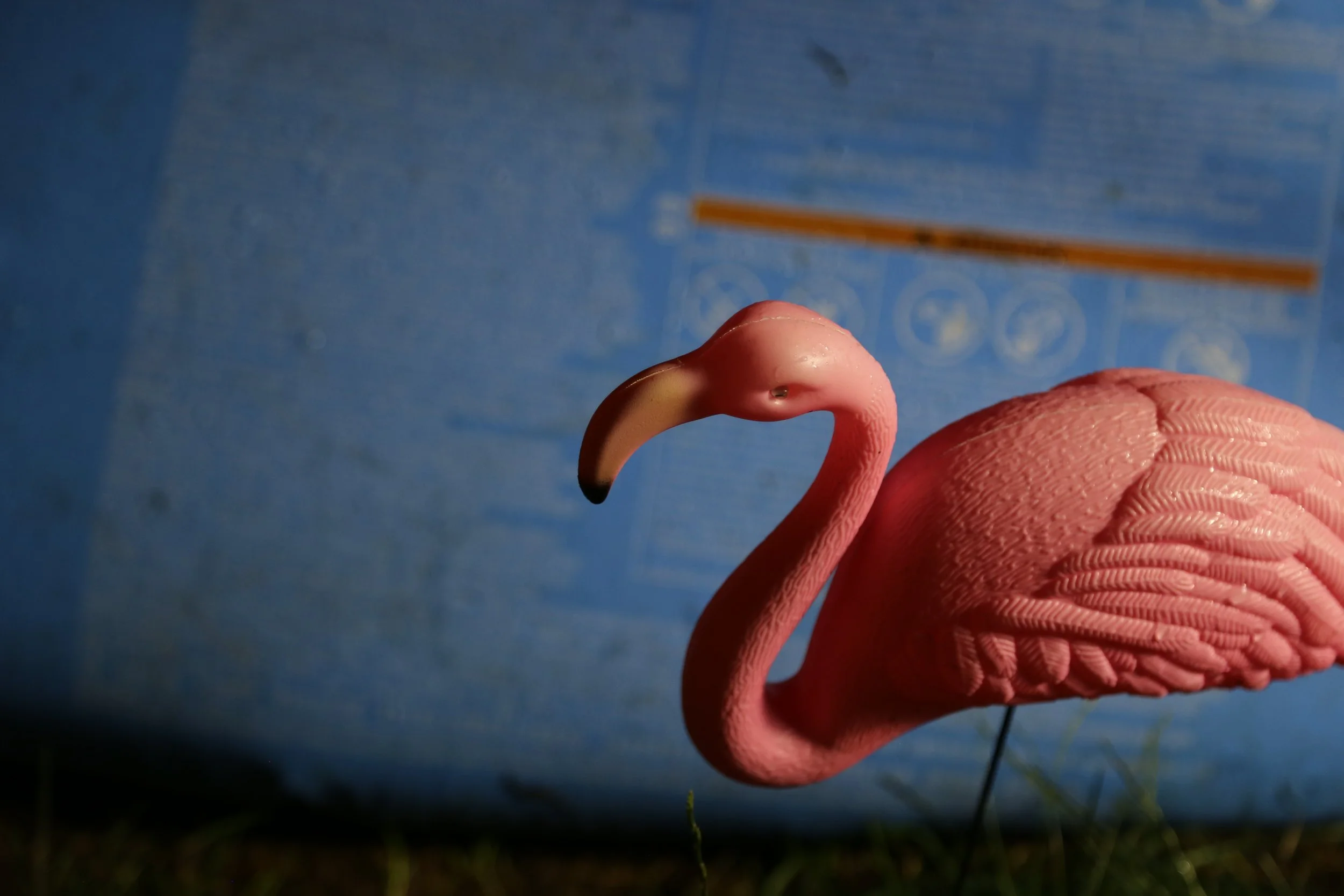 Pink flamingo lawn ornament on grass with a blue sky background.