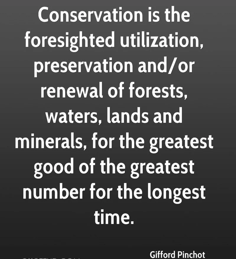 Pinchot Quote 2.1.jpg