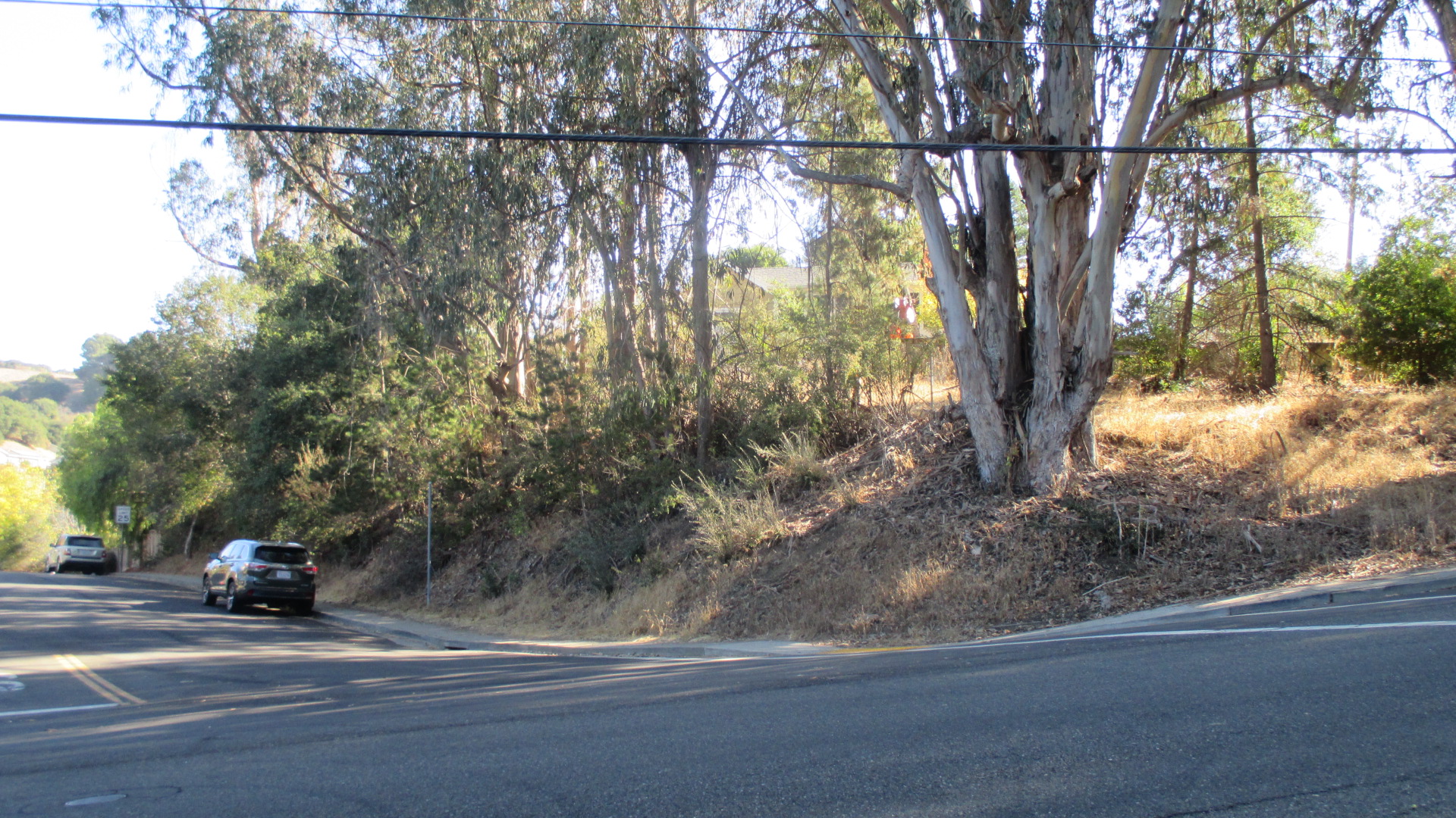 IMG_9264_ corner view.JPG