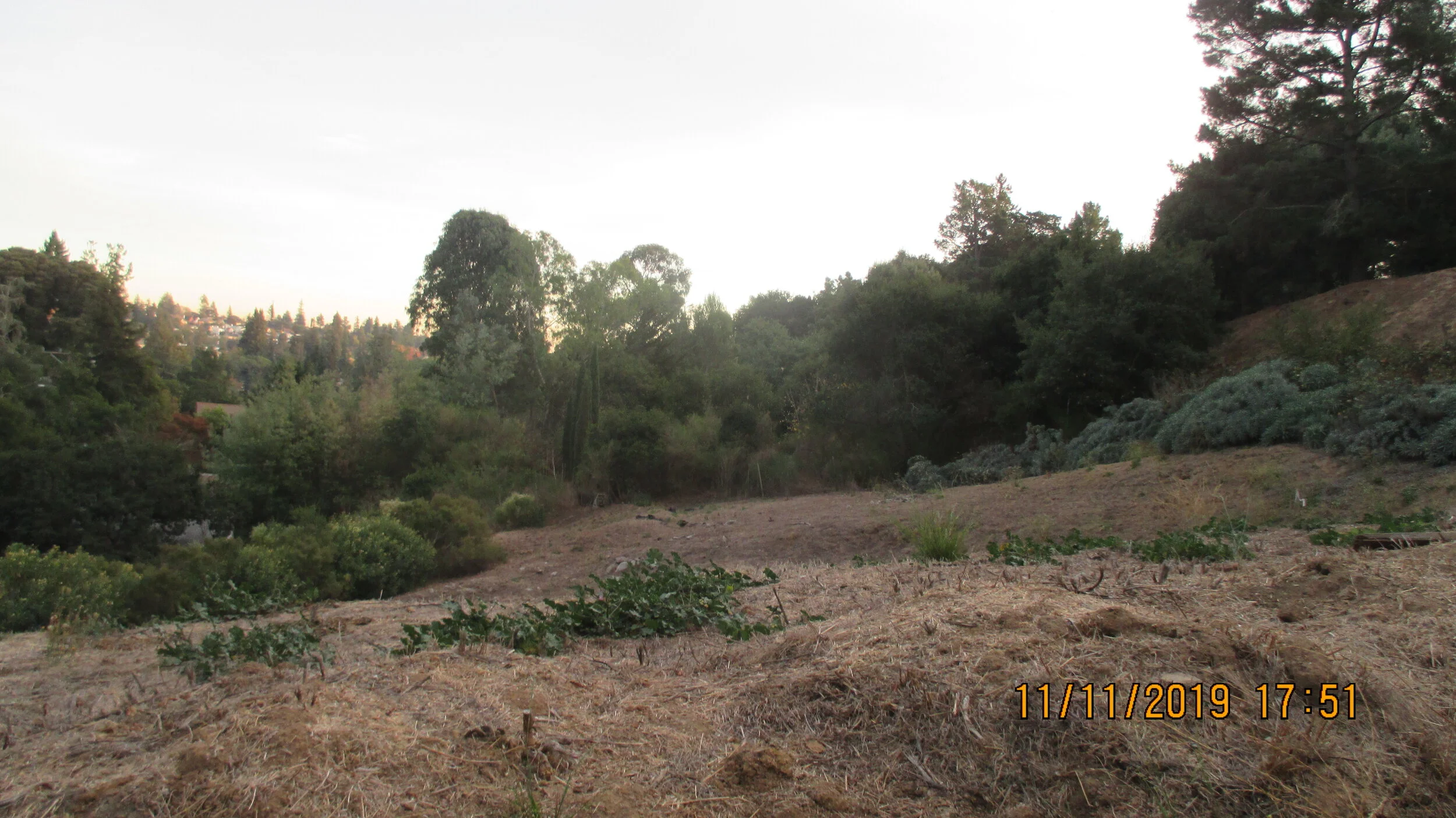 IMG_3885- Best Front.JPG