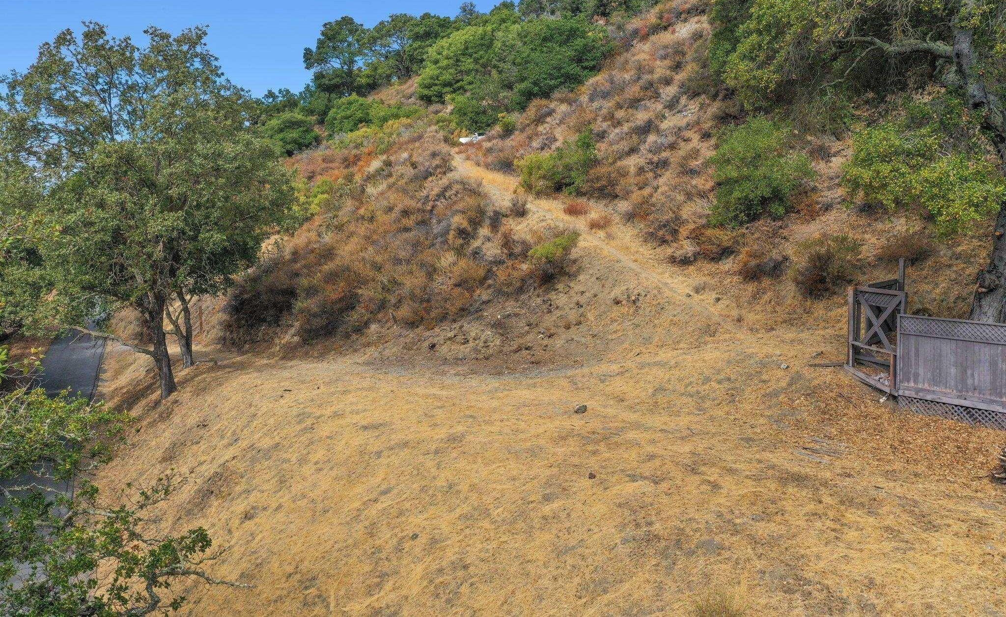 41098451-7D6F263D-7E4F-4CAE-8233-1D5051DDC79B (1).jpg