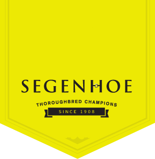 segenhoe logo.png