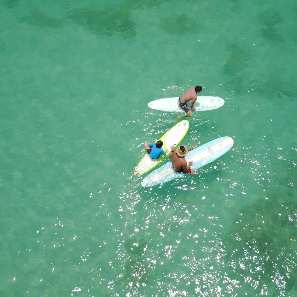 big-wave-dave-waikiki-group-surfing-lessons-drone.jpeg