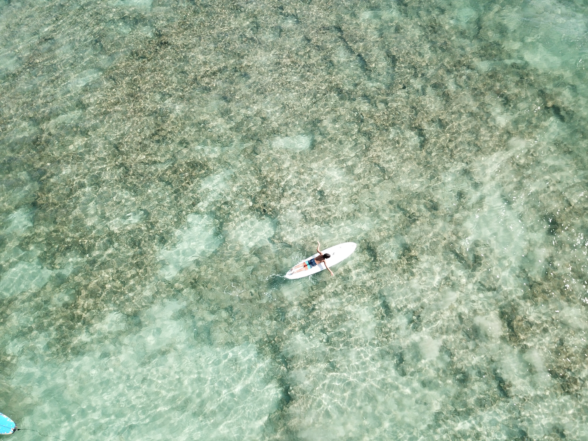 DJI_Kekoa Drone Above Water.jpg