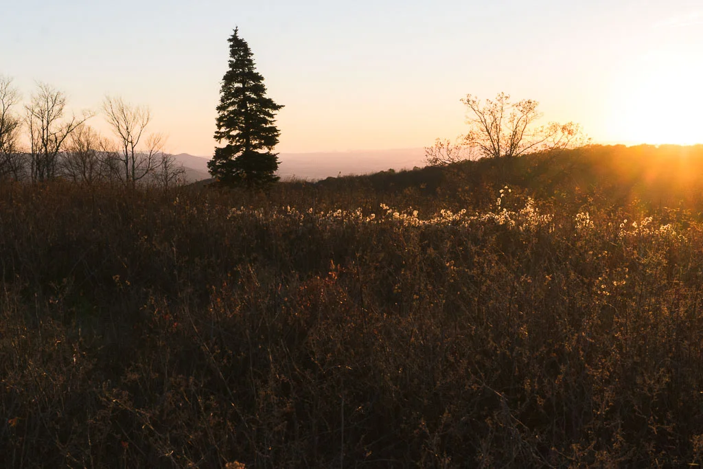 Shenndoah Sunset 7.jpg