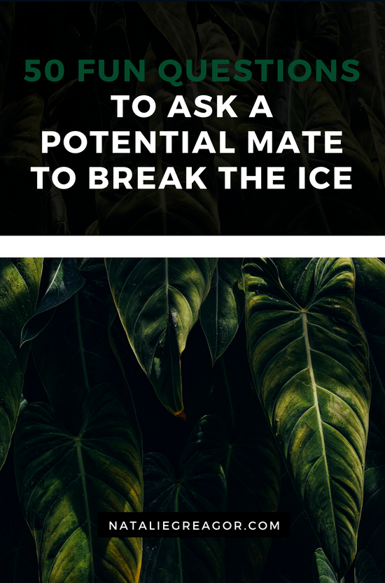 50 Fun Questions To Ask A Potential Mate To Break The Ice Natalie Greagor