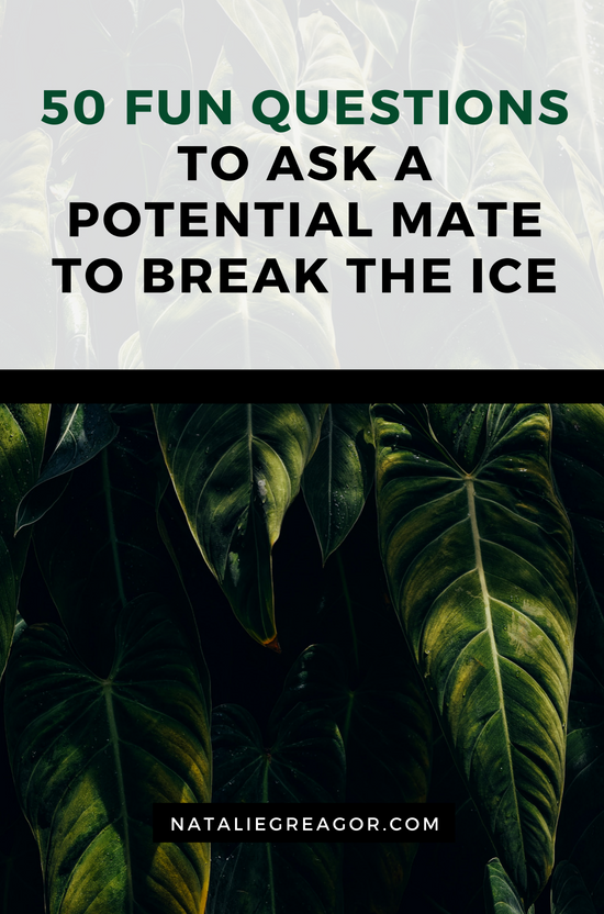 50 Fun Questions To Ask A Potential Mate To Break The Ice Natalie Greagor