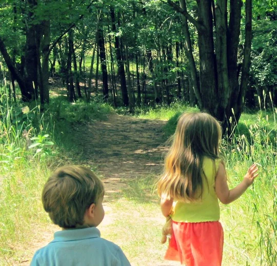 Walking-in-the-Woods.jpg