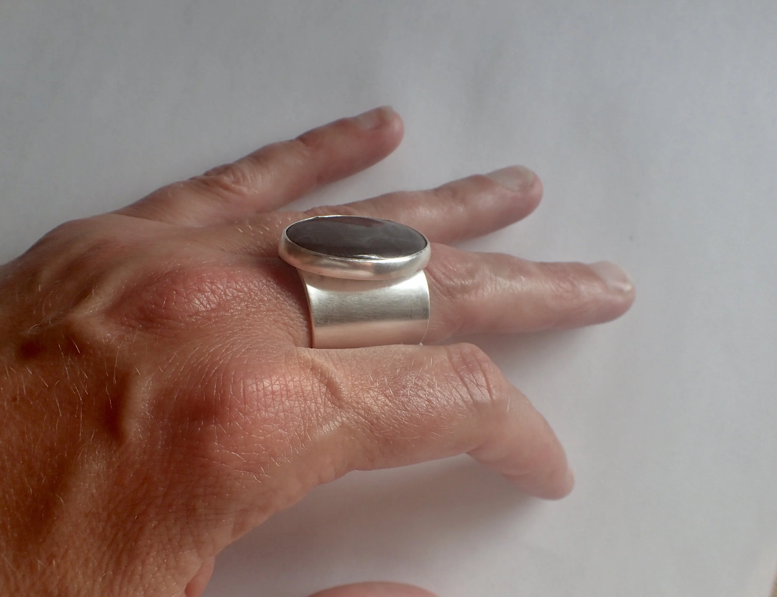 Petrified Wood and Silver Ring