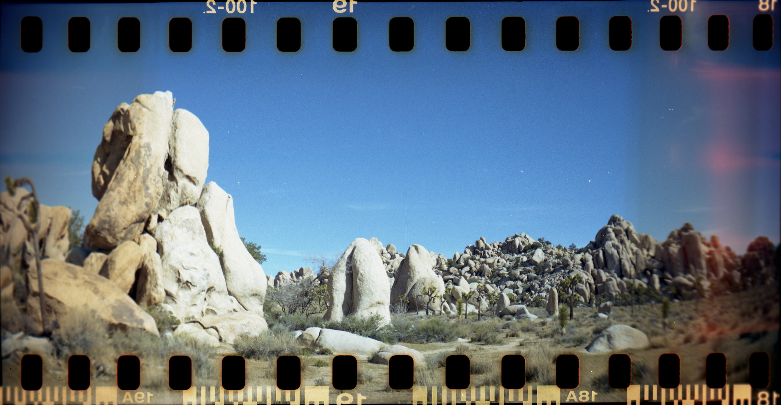 Shot with - Lomography Sprocket Rocket Superpop, 35mm