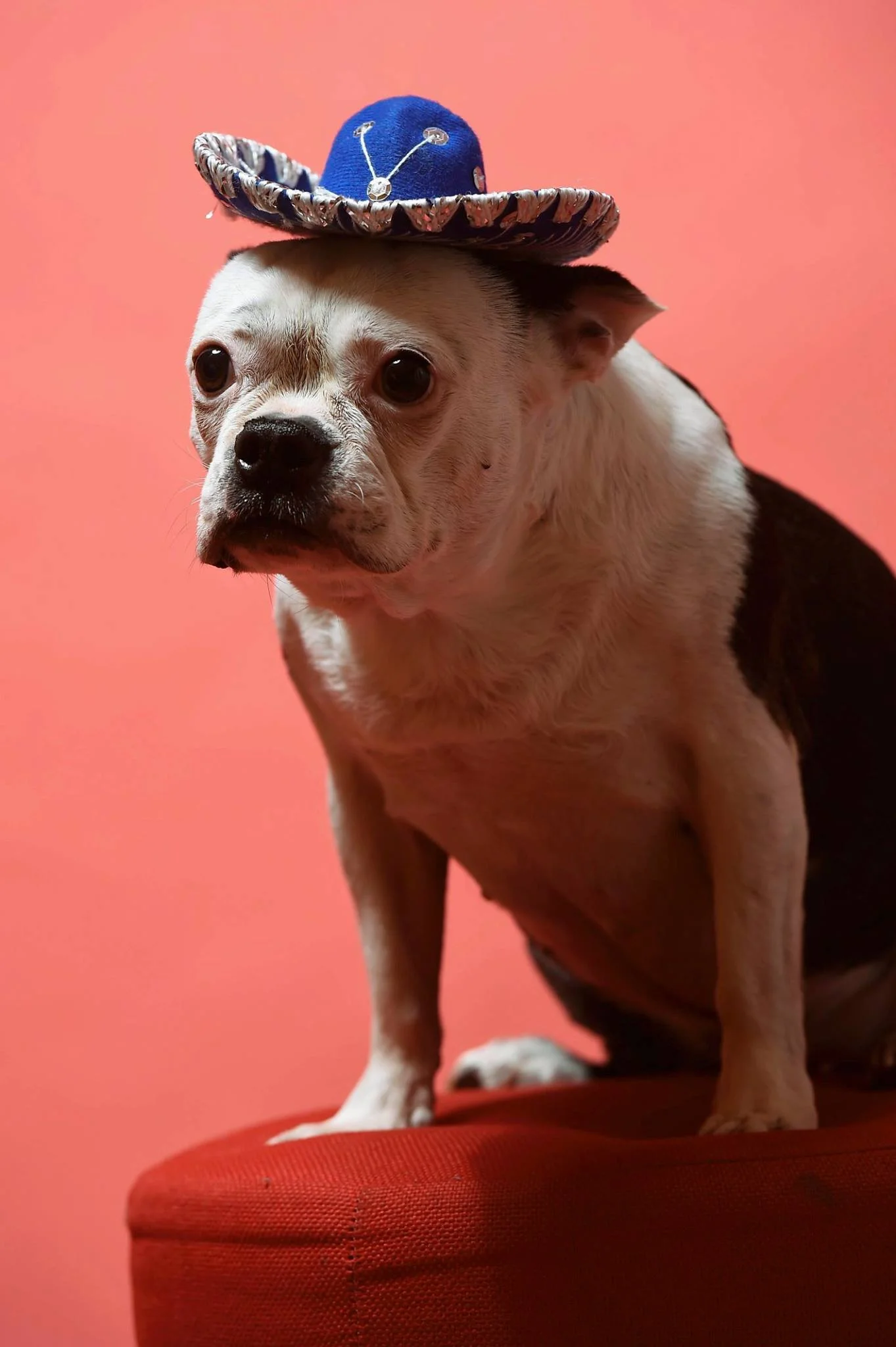 Princess Bebo poses for a house party portrait. - Shot with Nikon D4S