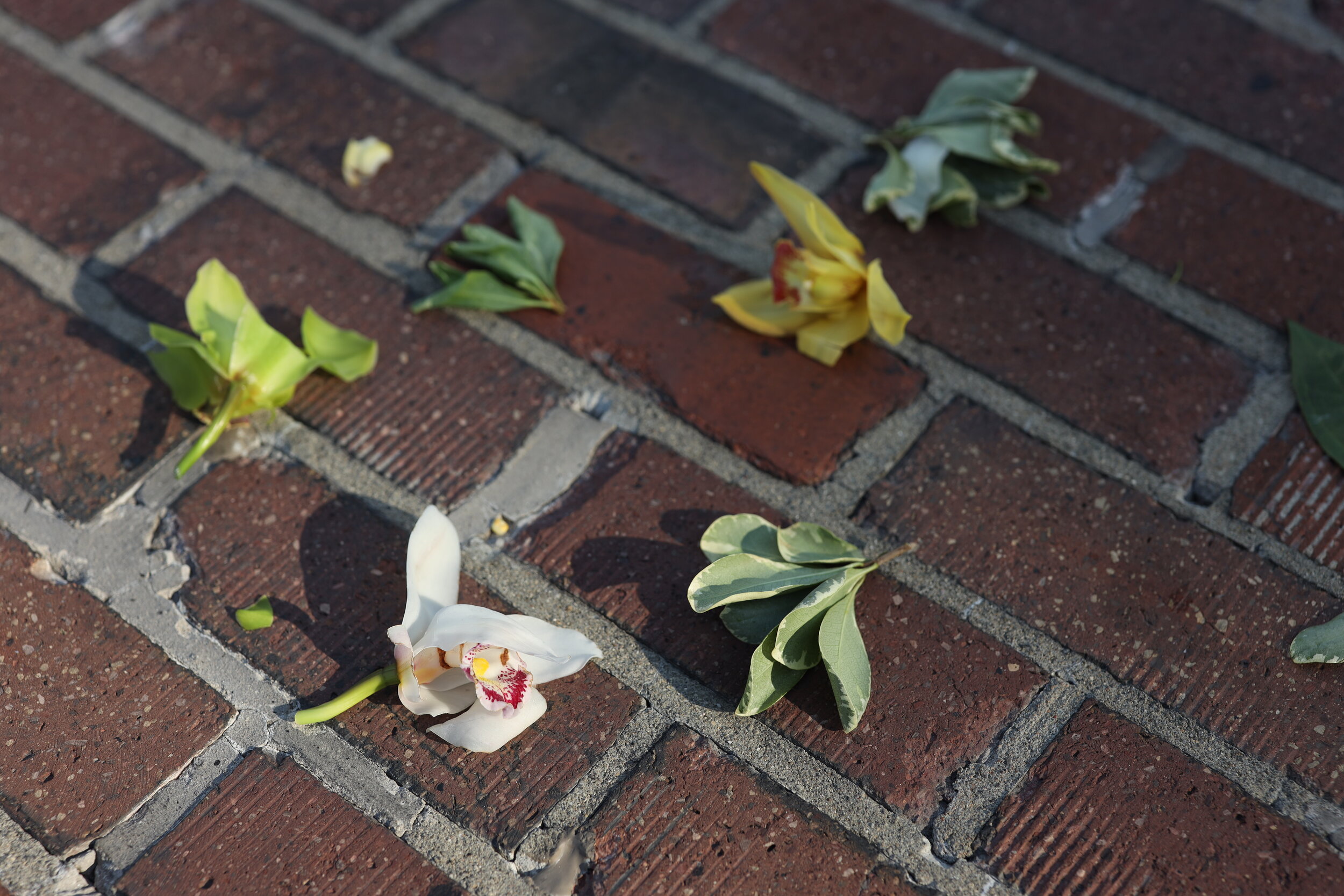  Flowers fallen from the Borg-Warner Trophy. As i leaped off the ground from shooting Takuma’s kiss the bricks ceremony I noticed these flowers left and the way the light hit them. I couldn’t resist!    