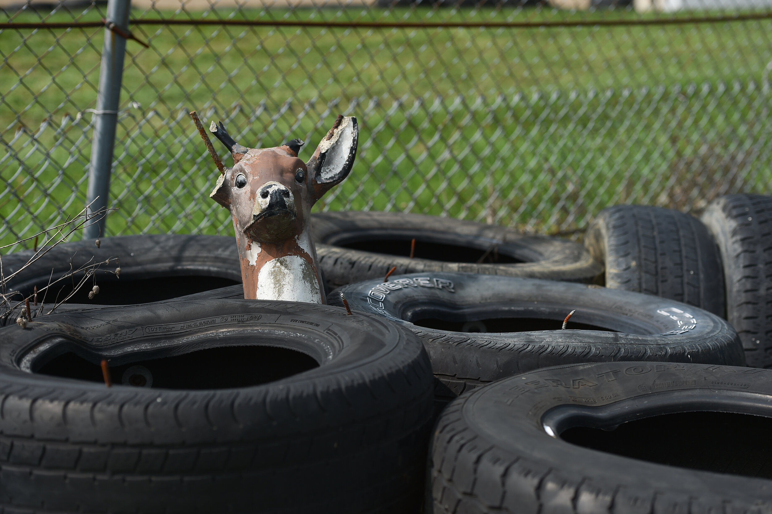  Fake deer in the run off tires at Mid-Ohio. I guess I don’t know what to say. 