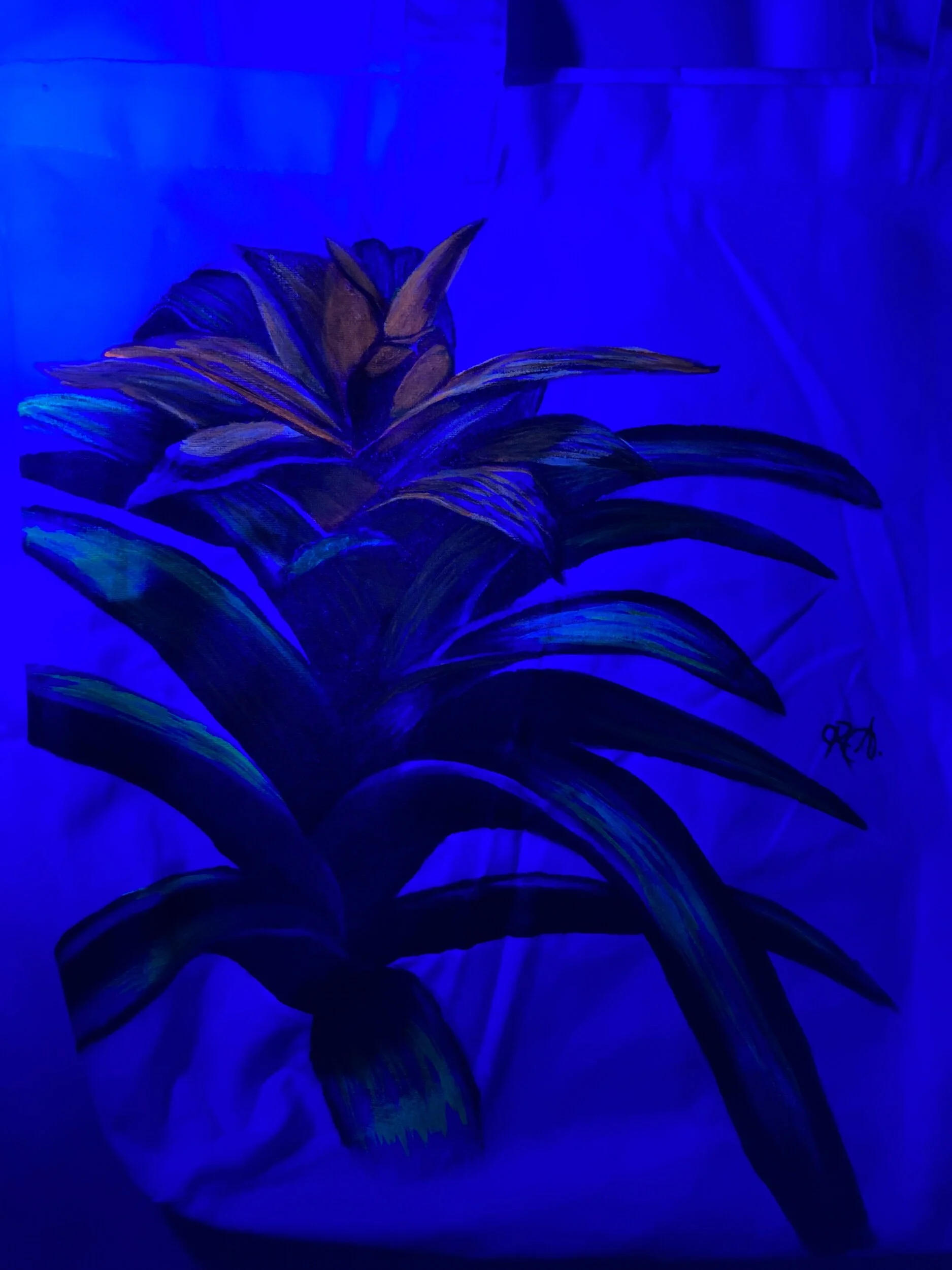 64BC9204-D09C-447B-B466-03B50DCFC6C0