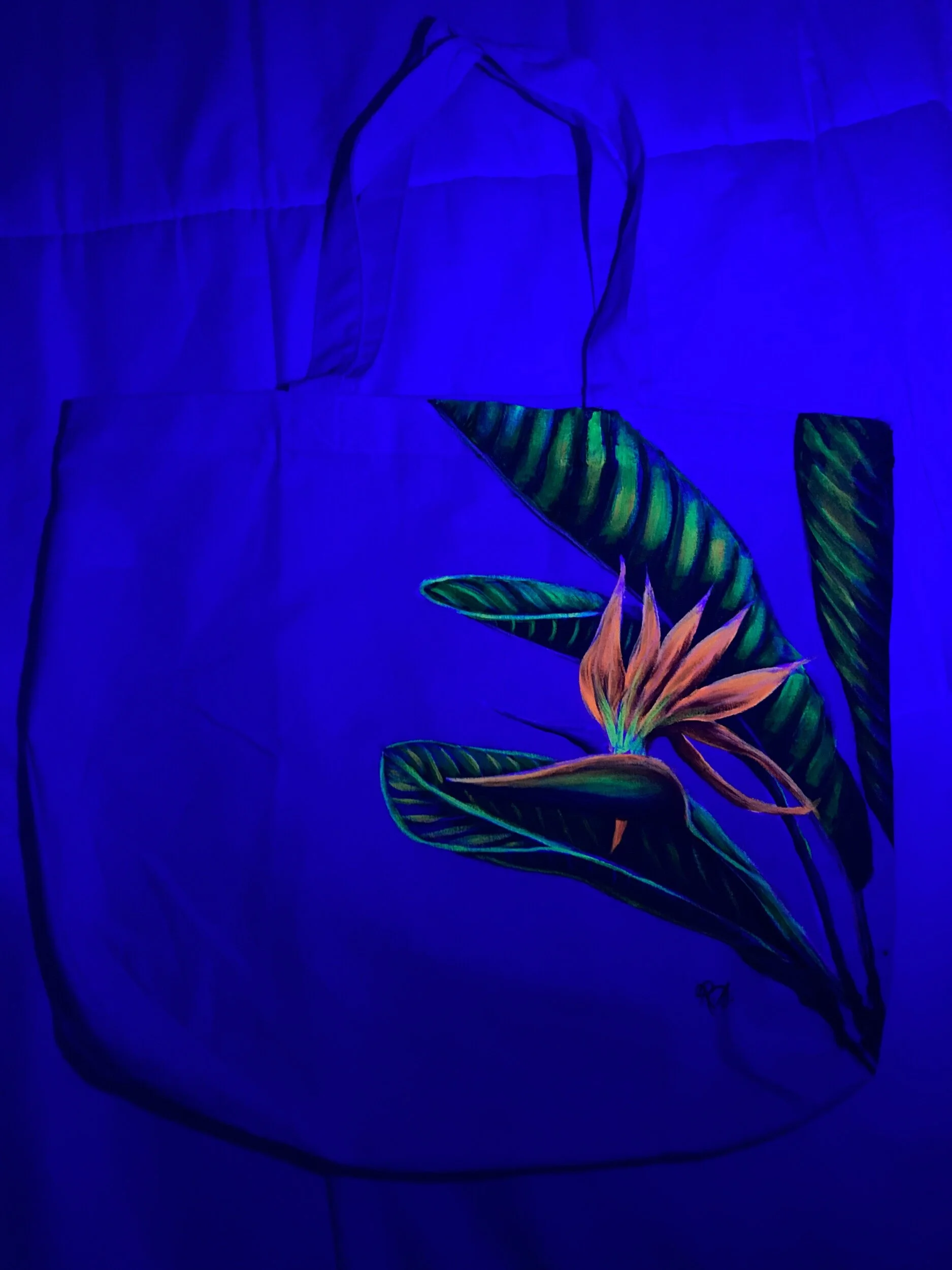 55D177FB-5D37-4FC2-BF31-73DD2D53B9F7