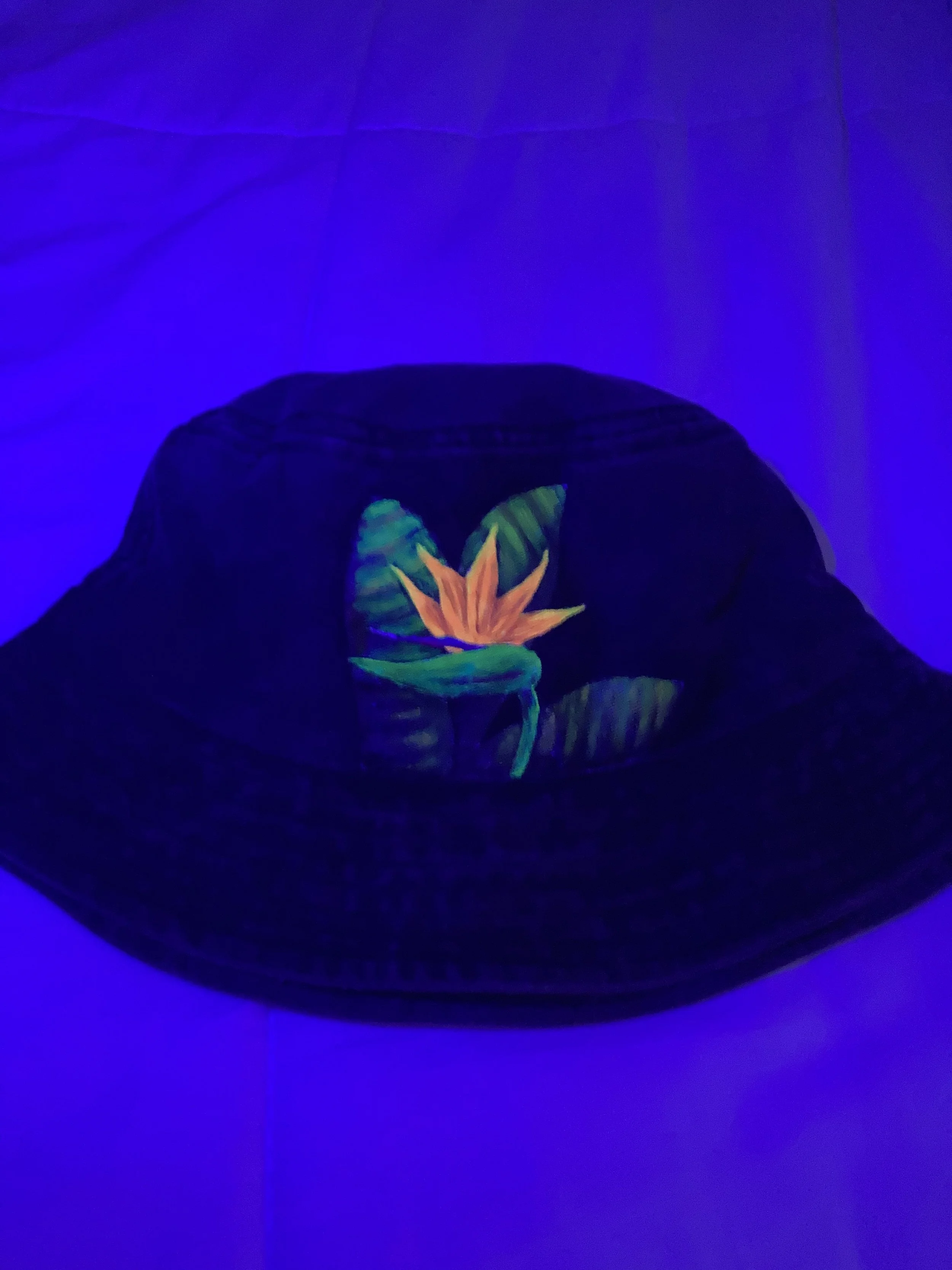 birdofparadisehat2.jpg